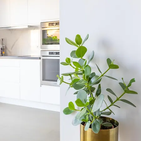 Prachtig Aan Zee Met 2 Terrassen - 4p Apartman *
